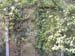DSCF0023