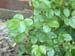 DSCF0033