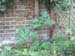 DSCF0039