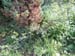 DSCF0040