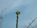 DSCF0044