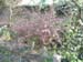 DSCF0052