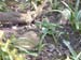 DSCF0058
