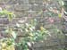 DSCF0059