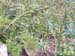 DSCF0060