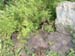 DSCF0061