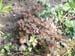 DSCF0062