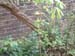 DSCF0064