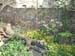 DSCF0066
