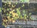 DSCF0072