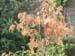 DSCF0073