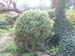 DSCF0075