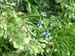 DSCF0079