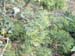 DSCF0080