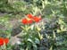 DSCF0082