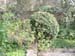 DSCF0086