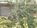 DSCF0094